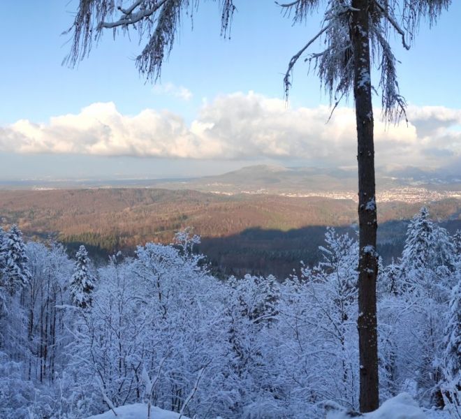 PANO_20210109_152730