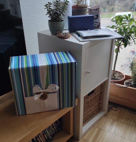 4.IMG_20201203_49_10-576x1024