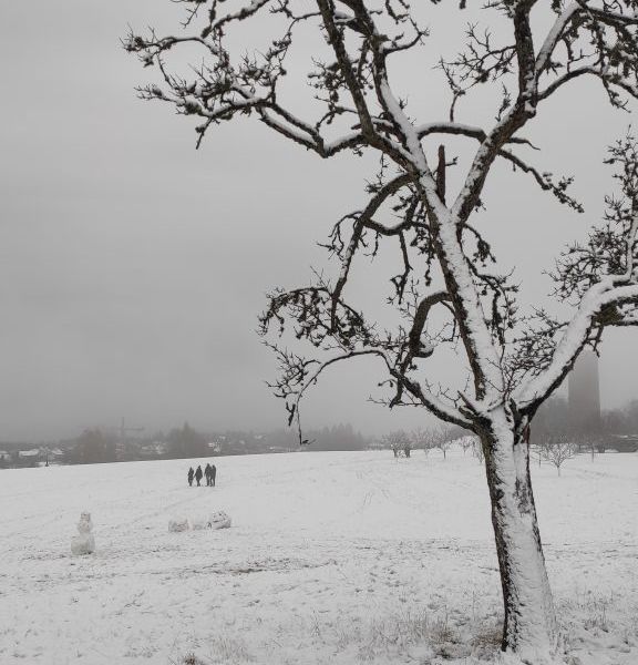 5.IMG_20201205_49_6-576x1024