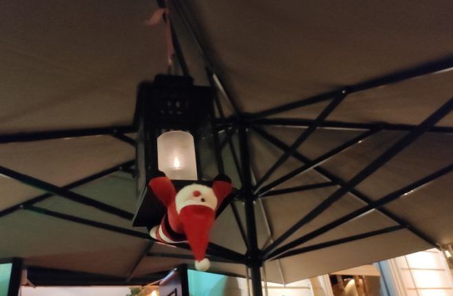 8.IMG_20201206_49_1-768x432