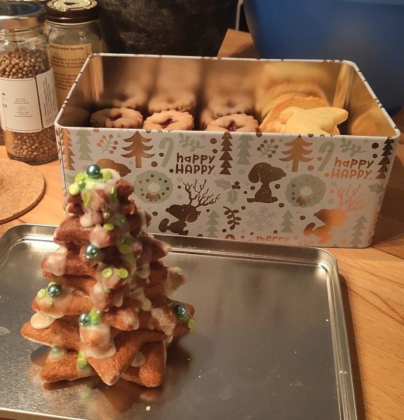 1.IMG_20201221_214916-576x1024