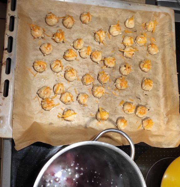 3. IMG_20201212_183129-576x1024