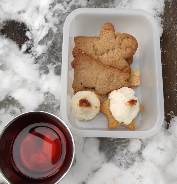 3. IMG_20210103_153252-576x1024