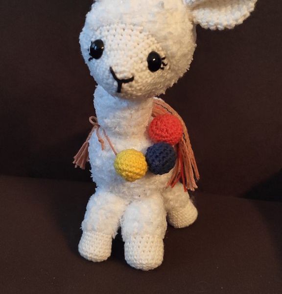 3.IMG_20201218_51_1-576x1024