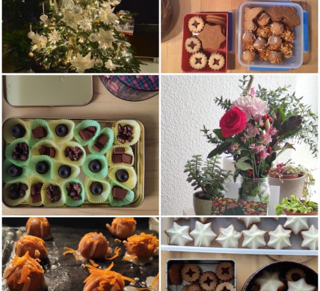 4.IMG_20201224_134549-768x1024