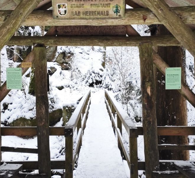 IMG_20210117_132526_1