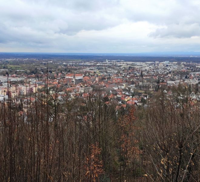 __IMG_20210207_152044