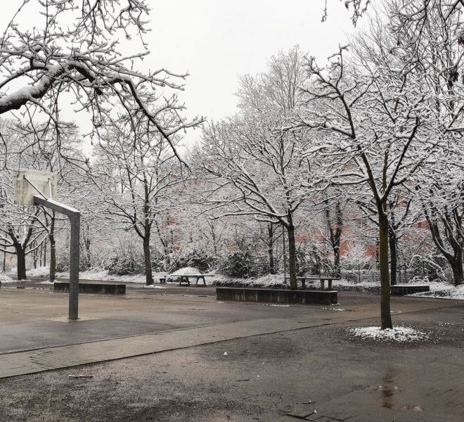 __IMG_20210208_162132