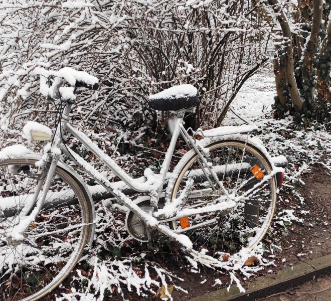 __IMG_20210208_163115