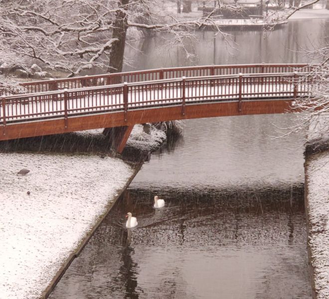 __IMG_20210208_165037