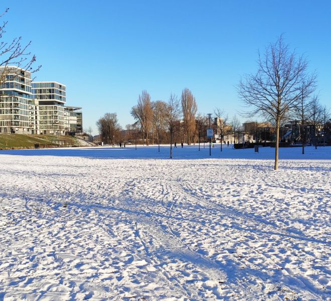 __IMG_20210213_163556