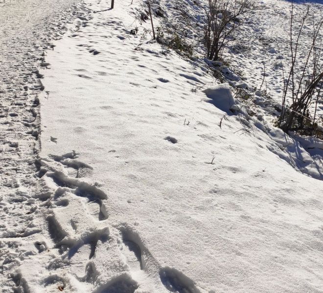 __IMG_20210214_143445