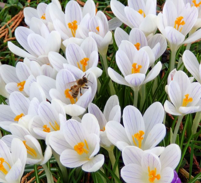 __IMG_20210220_155652