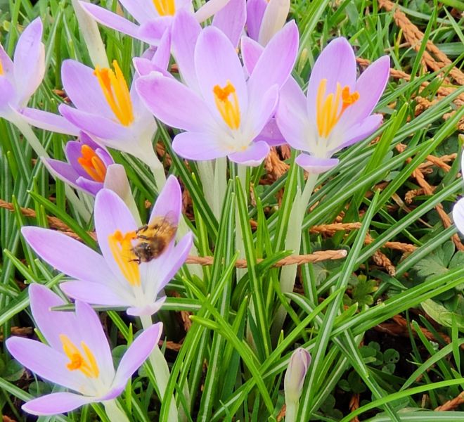 __IMG_20210220_155717