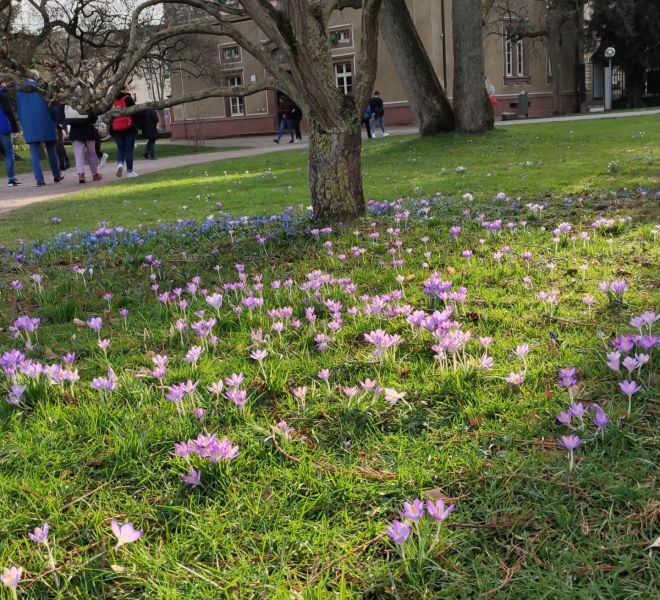 __IMG_20210220_155912