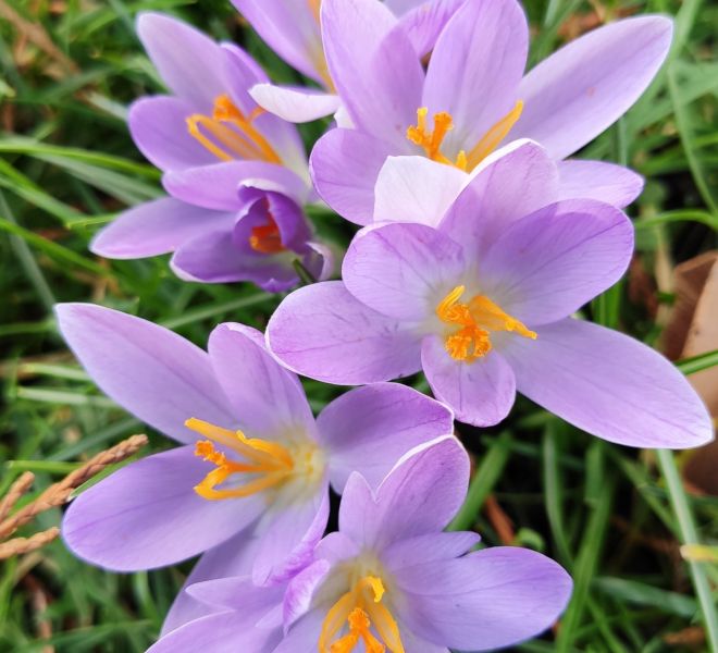 __IMG_20210220_155954