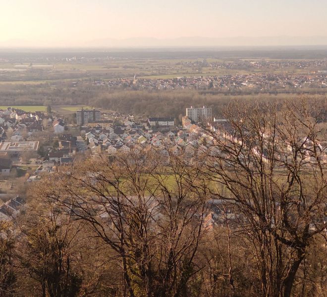 __IMG_20210228_160633