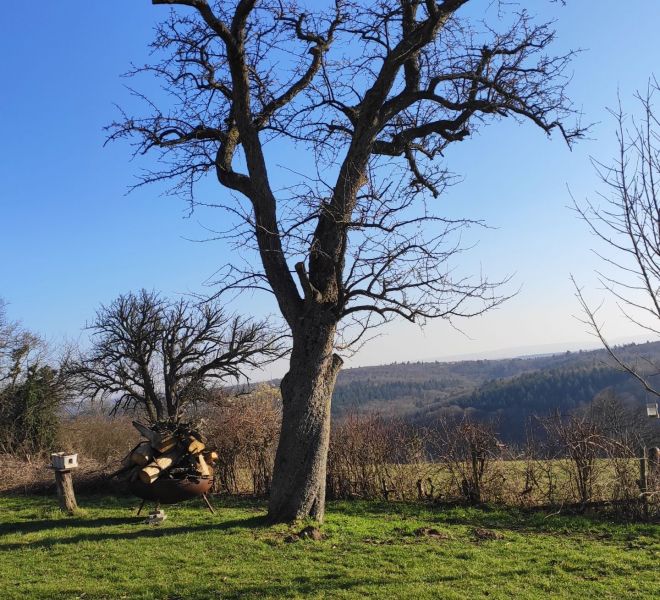 __IMG_20210228_161523